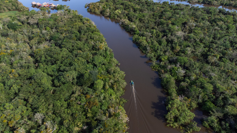 Aerial view of boat cruising on the Amazon River