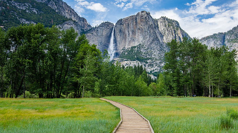 Hiking through Yosemite Valley.