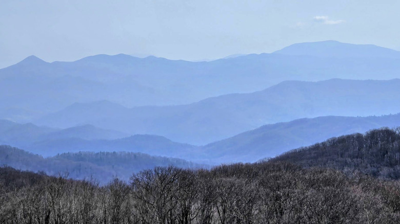 The views from Max Patch.