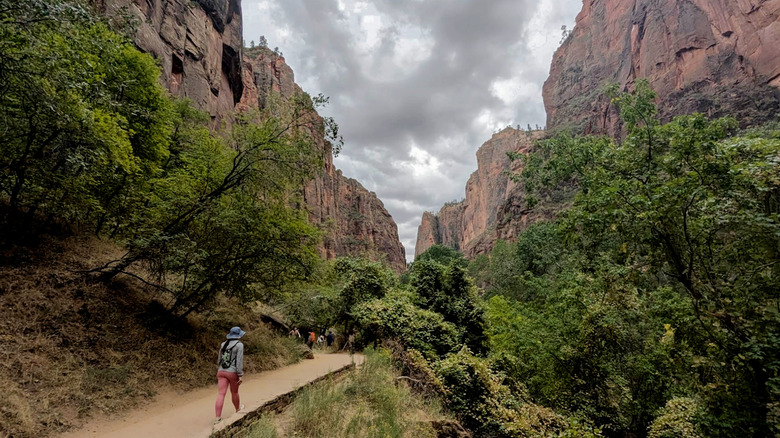 Hikers on the Riverside Walk, in Zion National Park, Utah.