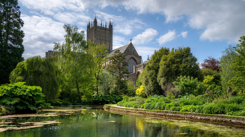 View of Wells Cathedral surrounded by lush greenery and a tranquil pond under a partly cloudy sky in Somerset, U.K.