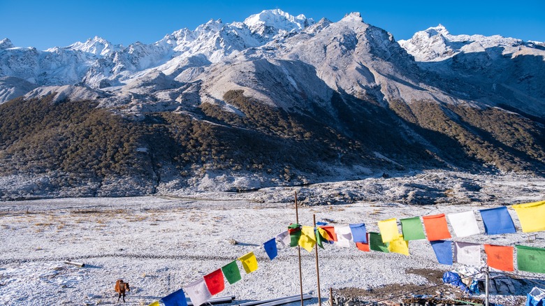The mountain range seen from Kyanjin Gompa