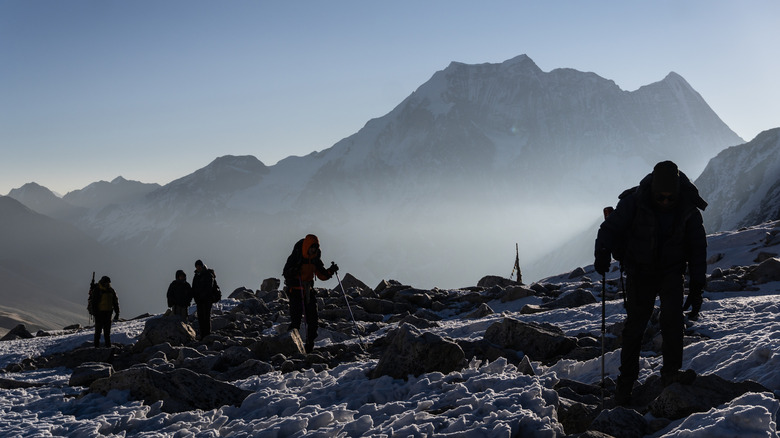 A group of trekkers hiking up to Larkya La Pass in the early morning.