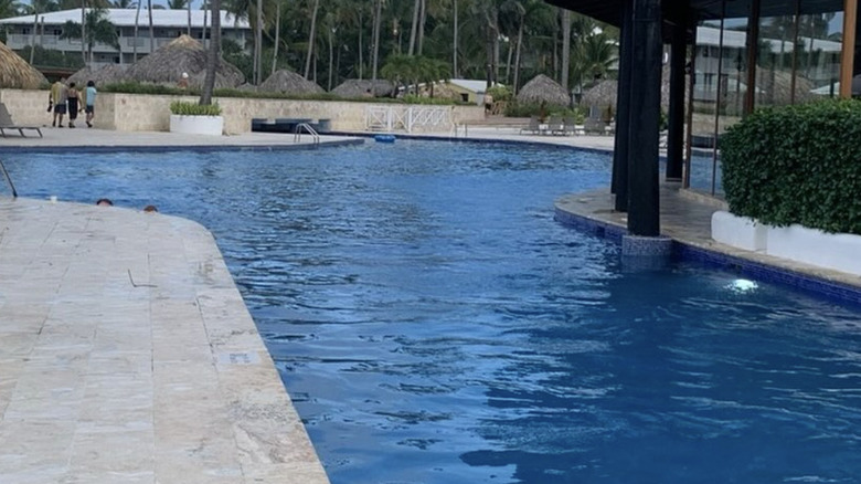 View of pool and palm trees