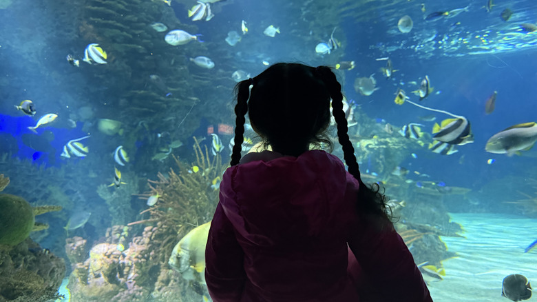 A little girl inside the Ripley's Aquarium of the Smokies in Gatlinburg