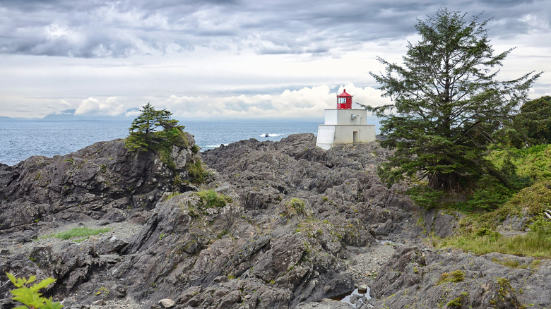 Amphitrite Point Lighthouse on Vancouver Island, British Columbia in Canada