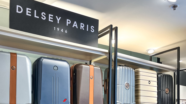 Display of stylish Delsey Paris suitcases featuring blue, cream, brown, black, and cognac color schemes