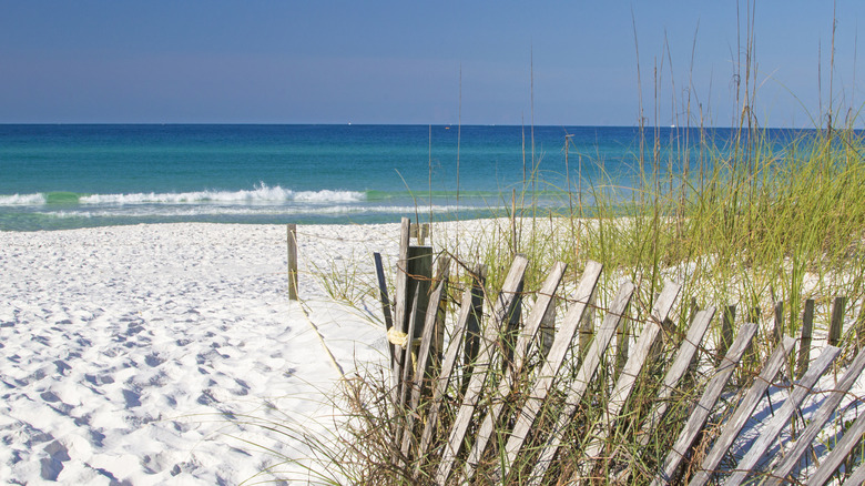 Soft, white sand on Henderson Beach State Park, Destin, Florida