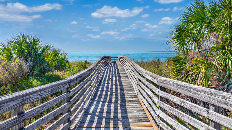 Wooden footpath to the beach surrounded by palm trees, Honeymoon Island State Park, Florida