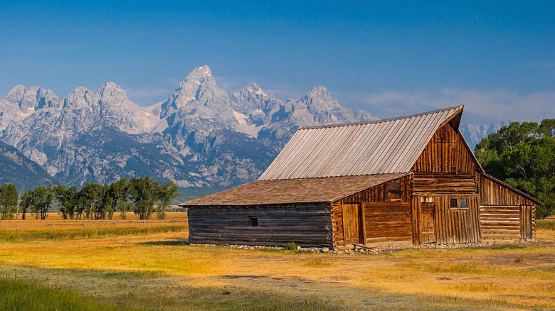 Mormon's Row in Grand Teton National PArk.
