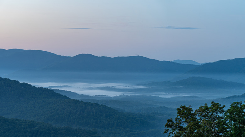 Distant mist at Great Smoky Mountains National Park.