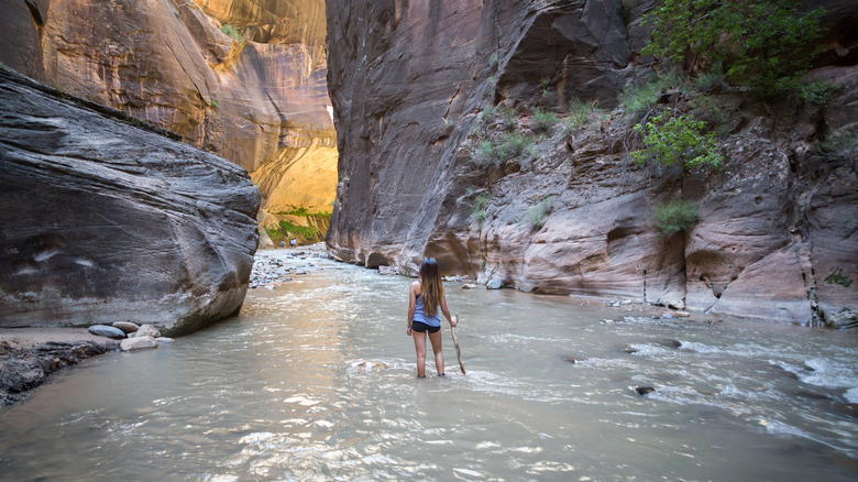 A woman hiking the Narrows, one of the world's best slot canyon hikes.