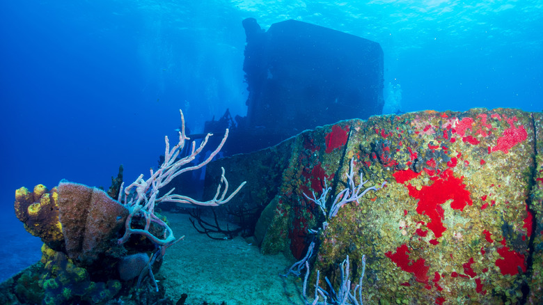 The Felipe Xicotencatl C-53 shipwreck in Cozumel.