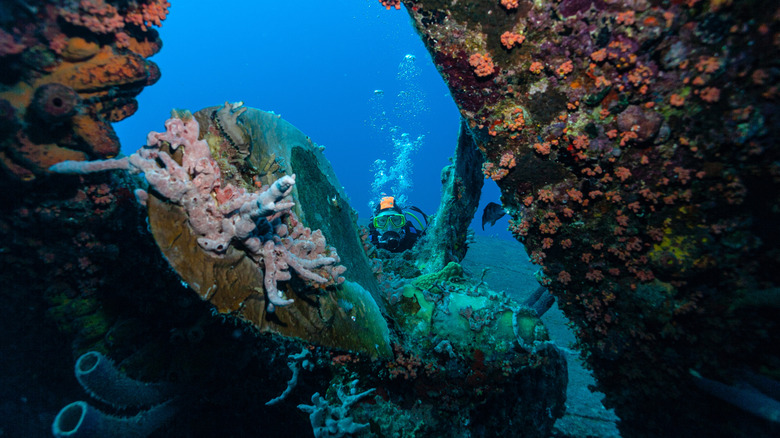 A scuba diver behind the propeller of the Hilma Hooker wreck