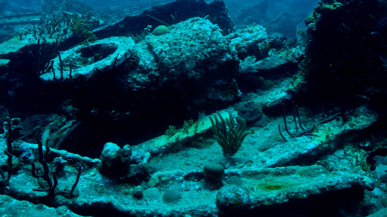 A scuba diver investigates the RMS Rhone.