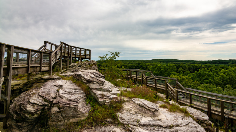 Rock top observation area at Castle Rock State Park, Illinois