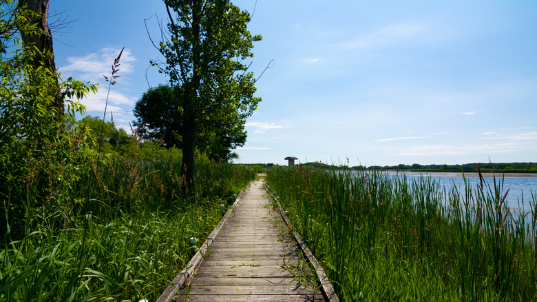 Wooden walkway by the lake in the Richard Bong State Recreational Area, Kansasville, Wisconsin