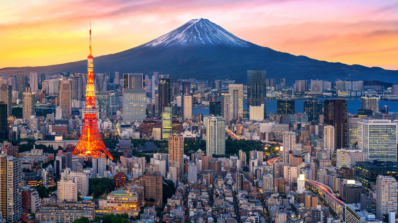 An aerial view of Tokyo with Mount Fuji in the background.