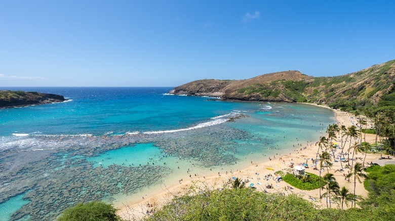 Hanauma Bay Nature Preserve