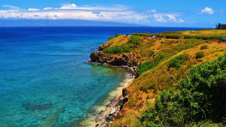 Honolua Bay in Maui