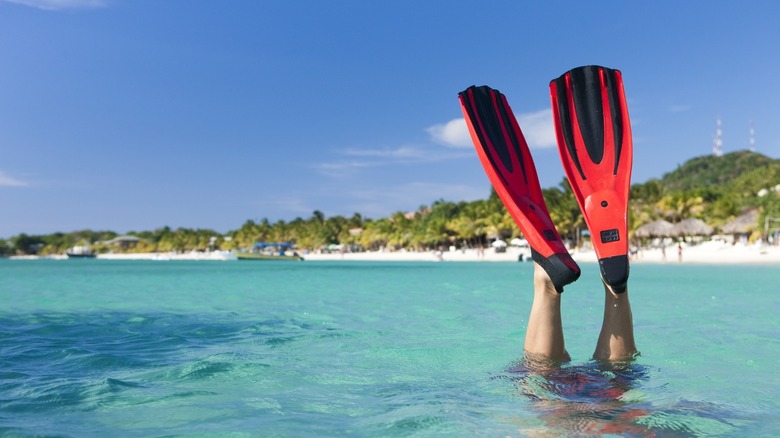 Snorkel fins sticking out of water