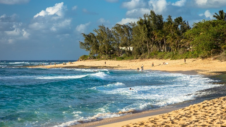 Oahu's North Shore