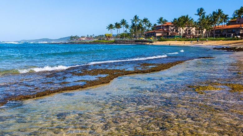 view of Poipu beach park