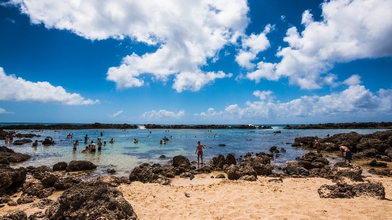 Oahu snorkel spot Shark's Cove