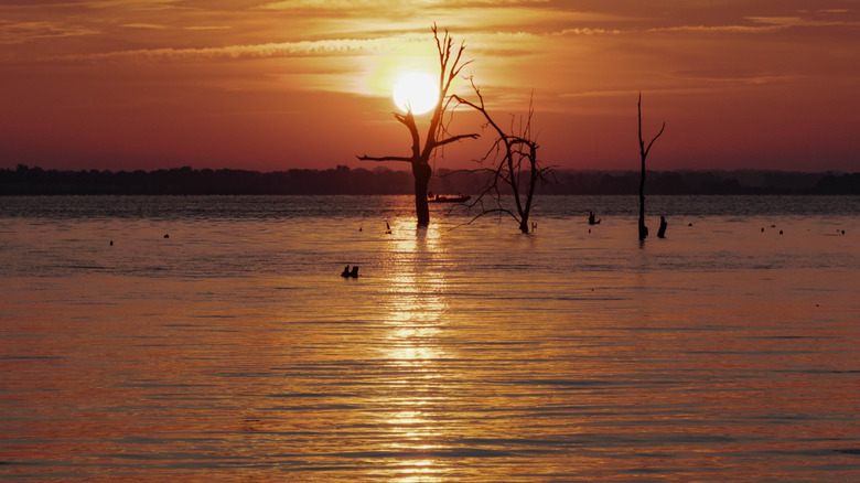 Sunrise over Lake Fork during a big bass fishing tournament.