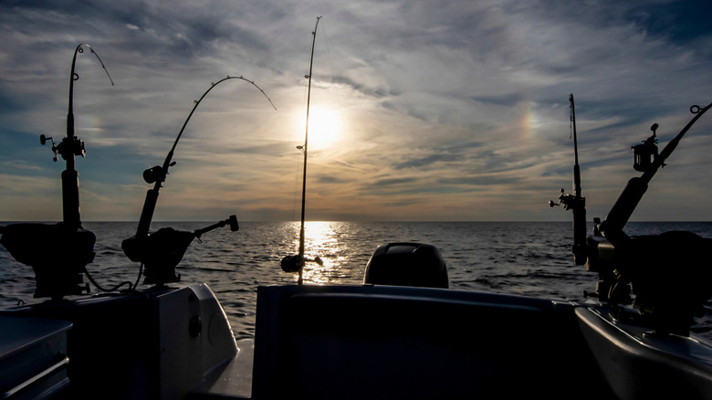 Outriggers set for Salmon fishing on Lake Michigan.