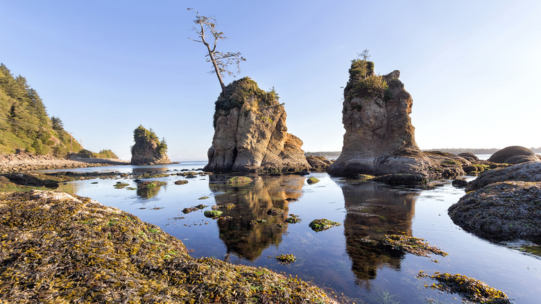 The Three Graces rock formation at Garibaldi, Oregon.