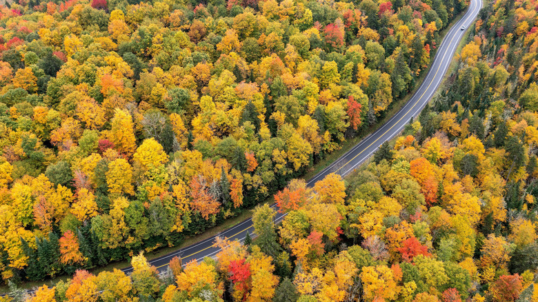 A car driving along Route 86 in Adirondack Park
