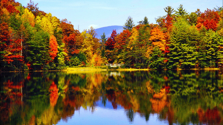 Chattahoochee National Forest in fall.