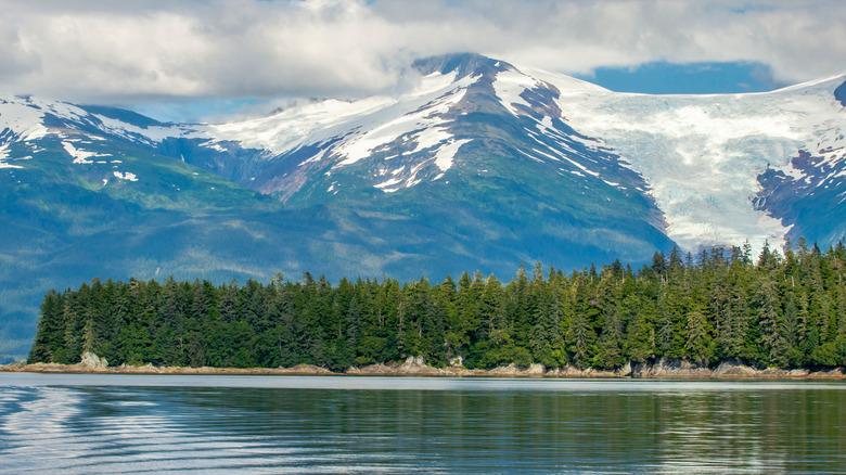 Tongass National Forest in Alaska.