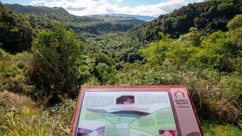 The Waitoharuru Valley in New Zealand