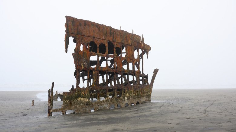 Rusty skeleton of the wreck of the Peter Iredale on Oregon Beach in fog