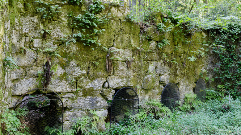 Ruins of Pogonip Historic Lime Kilns. Henry Cowell Fall Creek Unit, Santa Cruz County, California, USA.