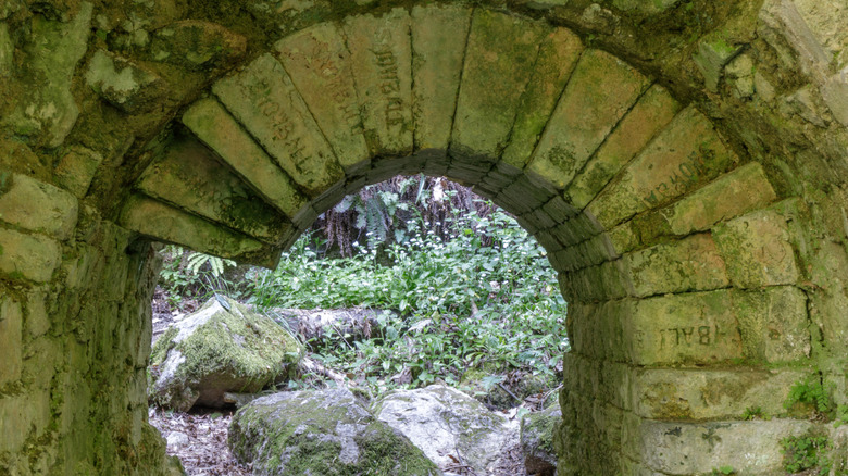 View through arched doorway at Pogonip Historic Lime Kiln Draw Hole. Henry Cowell Fall Creek Unit, Santa Cruz County, California, USA.