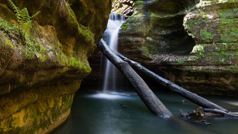 View of light streaming into Kaskaskia canyon at Starved Rock State Park, Illinois.