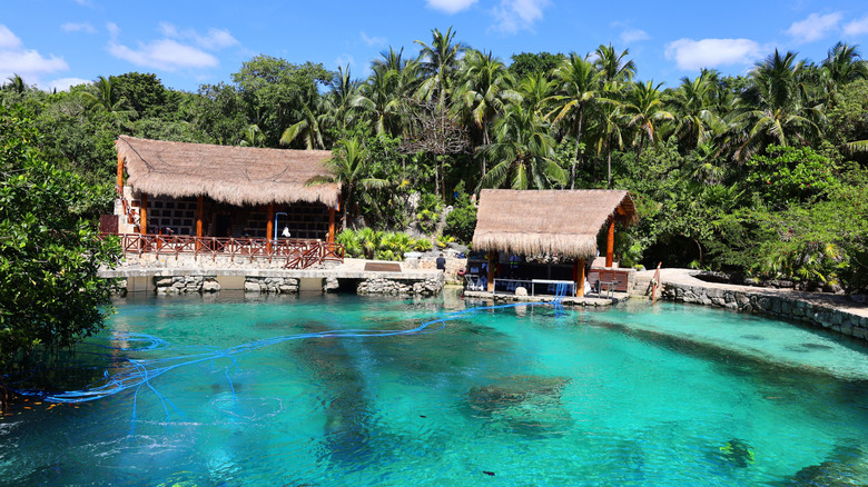 View of pool and thatched buildings at Occidental Xcaret in Riviera Maya