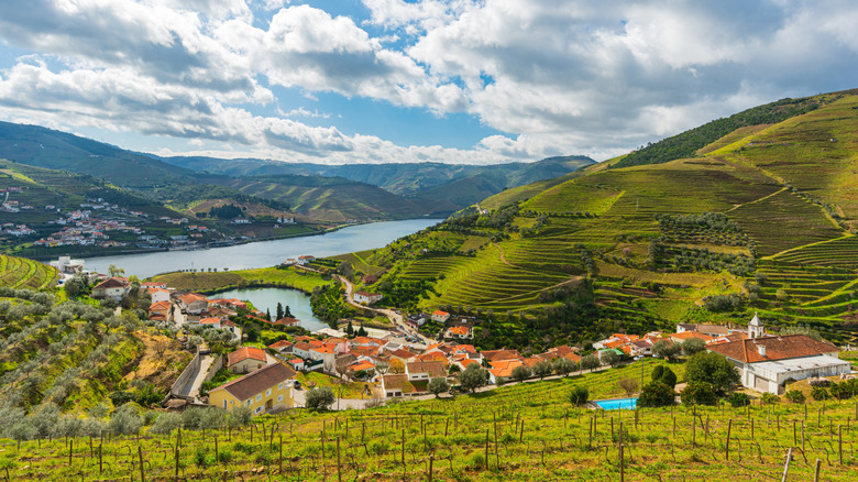 green terraced plantations along hillside, by the river, clear blue skies, red-tiled houses