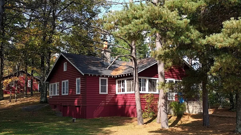 Red cabins amid some coniferous trees in Manitowish Waters in northern Wisconsin