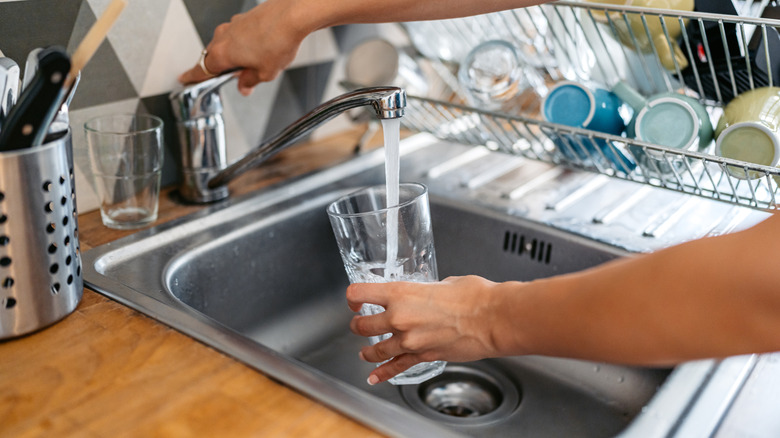 A person filling a drinking glass with tap water