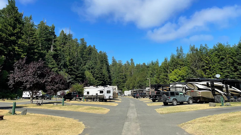 RVs parked at Ancient Redwoods RV Park in Redcrest, California