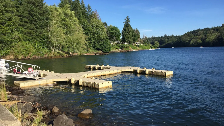 A dock on Mayfield Lake at Harmony Lakeside RV Park & Cabins, Silver Creek, Washington