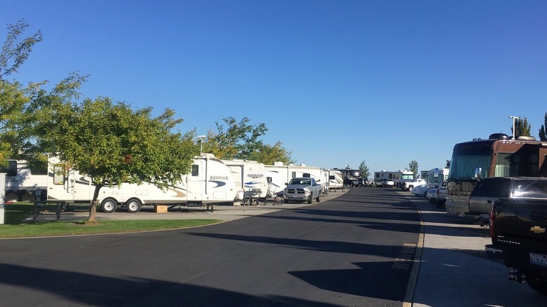 A view of RVs parked at Horn Rapids RV Resort in Richland, Washington, on a sunny day