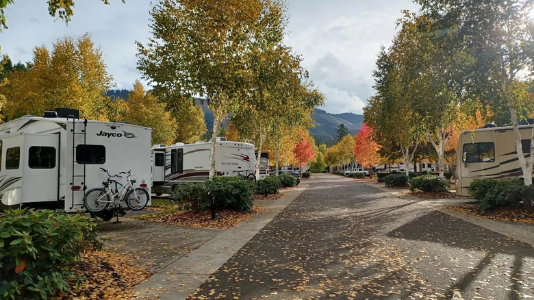 Fall colors around RVs at Seven Feathers RV Resort in Canyonville, Oregon