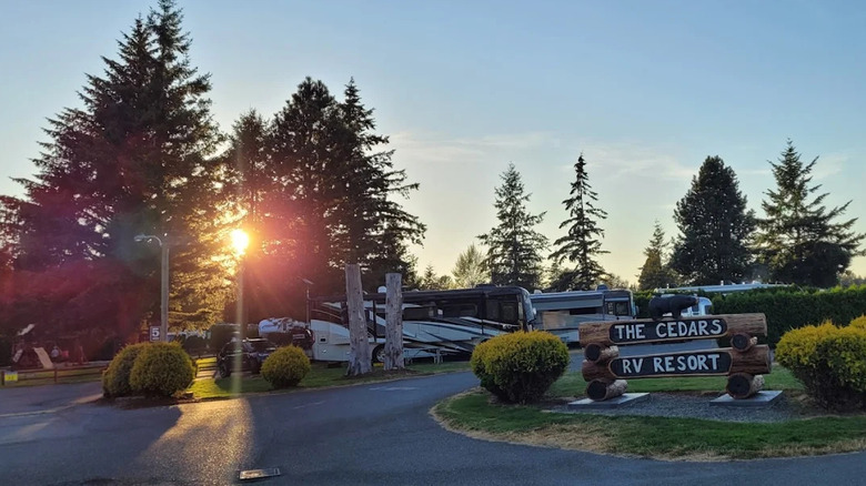 Sunset through some trees next to RVs and a sign for The Cedars RV Resort in Ferndale, Washington