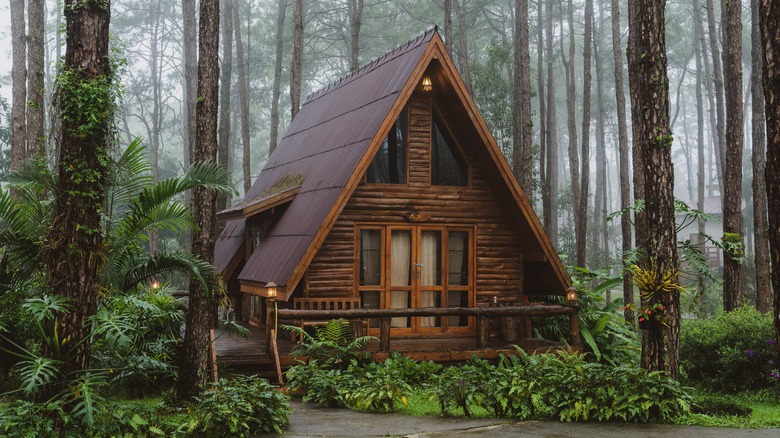 A cozy and unique cabin rental