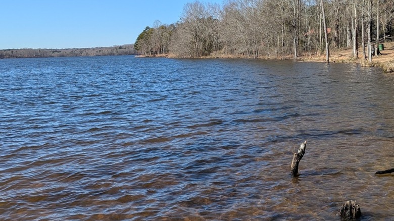Bear Creek Reservoir in Georgia